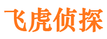 高陵外遇调查取证